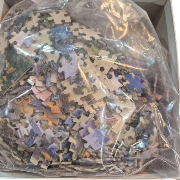 Buffalo Games Darrell Bush Lake Reflection 1000 pc Jigsaw Puzzle USED - Picture 5 of 9